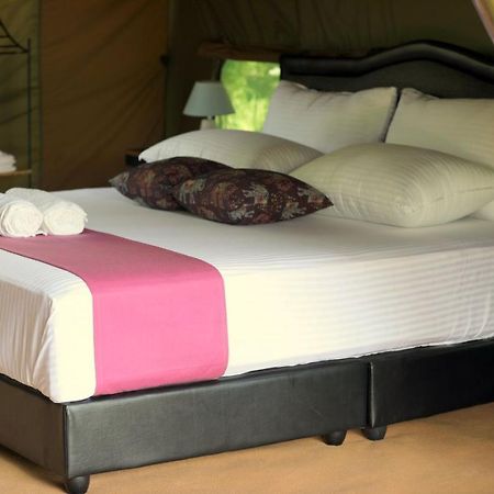 Basecamp - Yala Hotel Екстериор снимка
